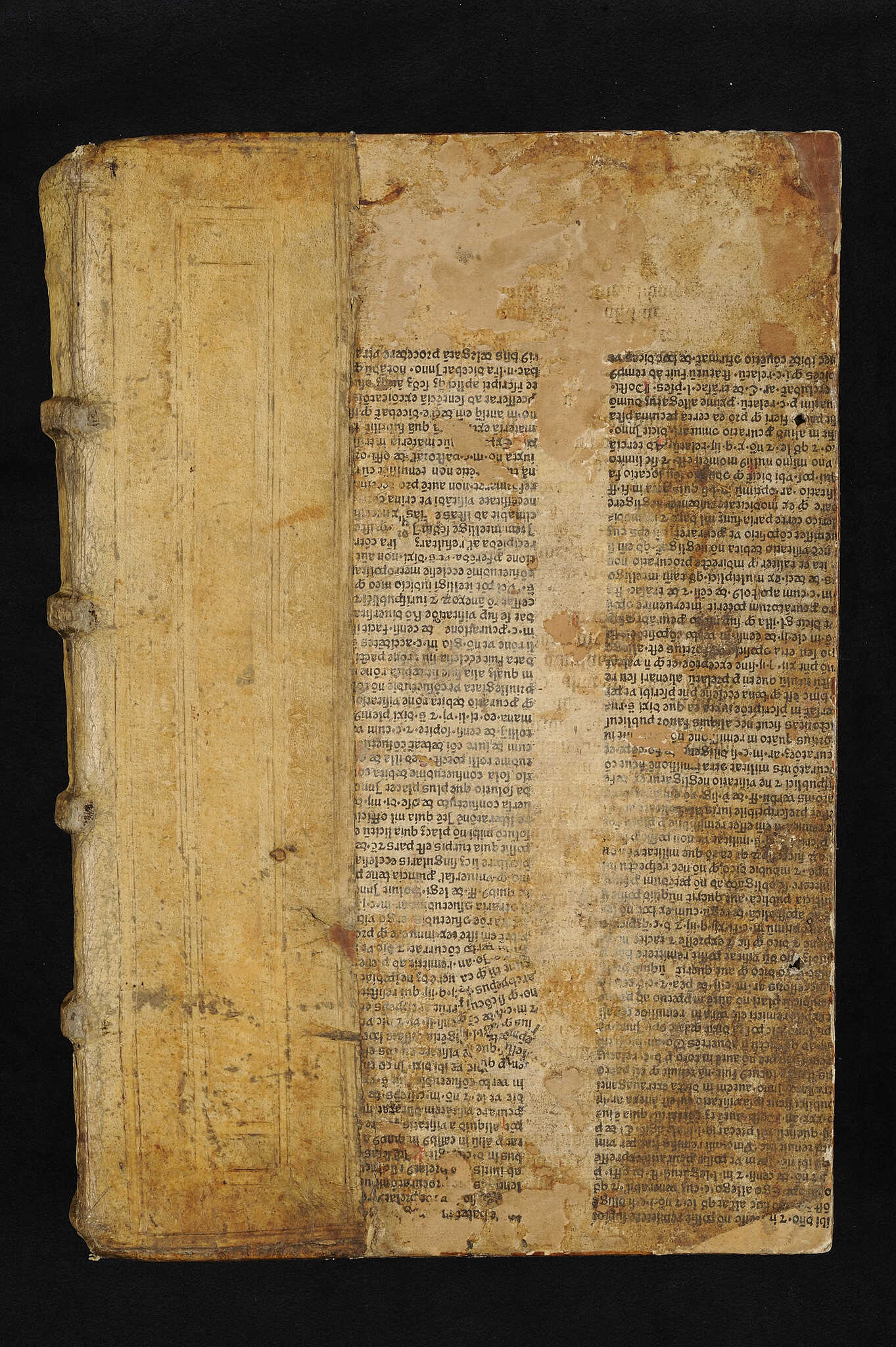 A copy of Pliny’s Naturalis Historia