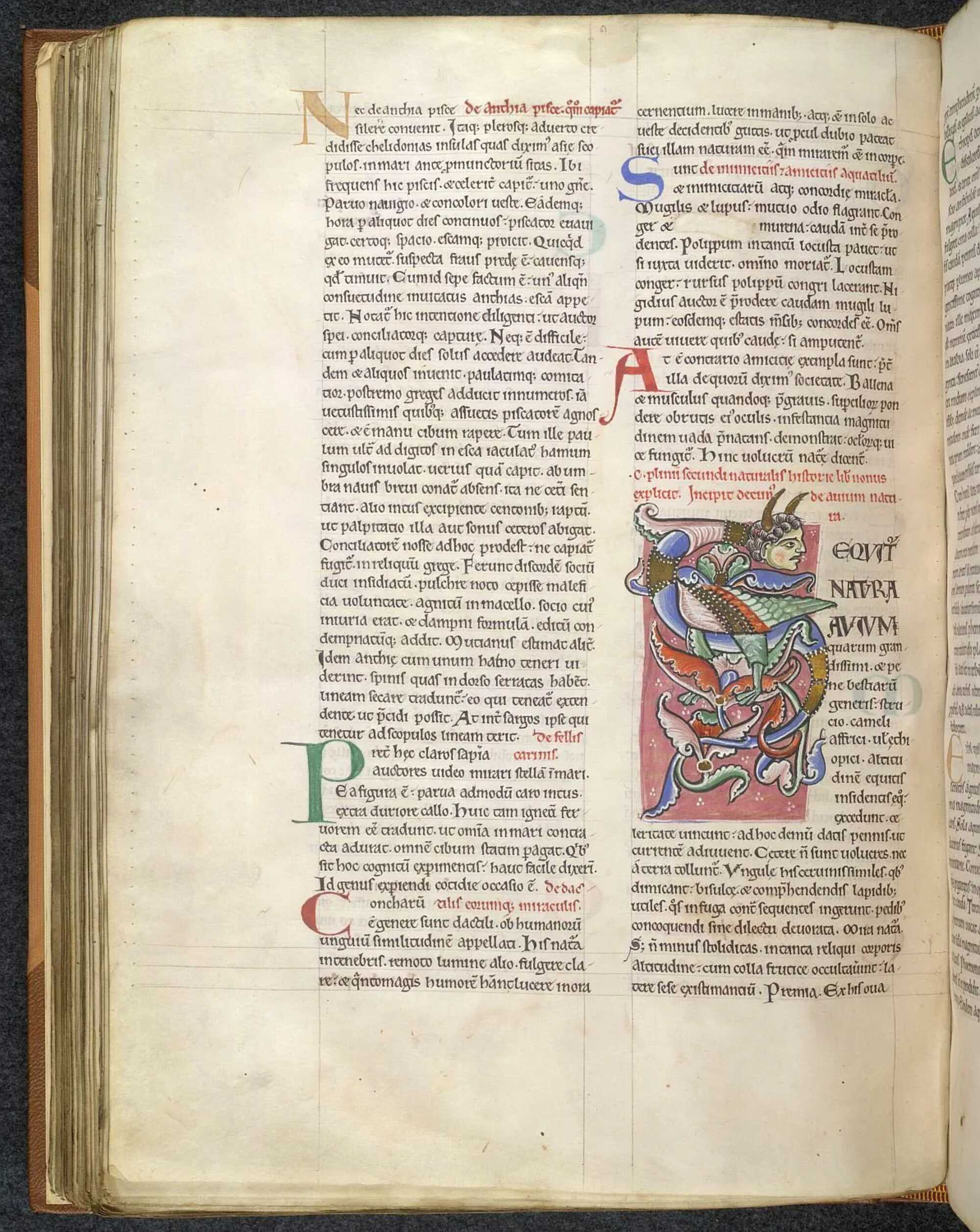 Page from&nbsp;Natural History&nbsp;by Pliny the Elder, 12th century; in the British Library.