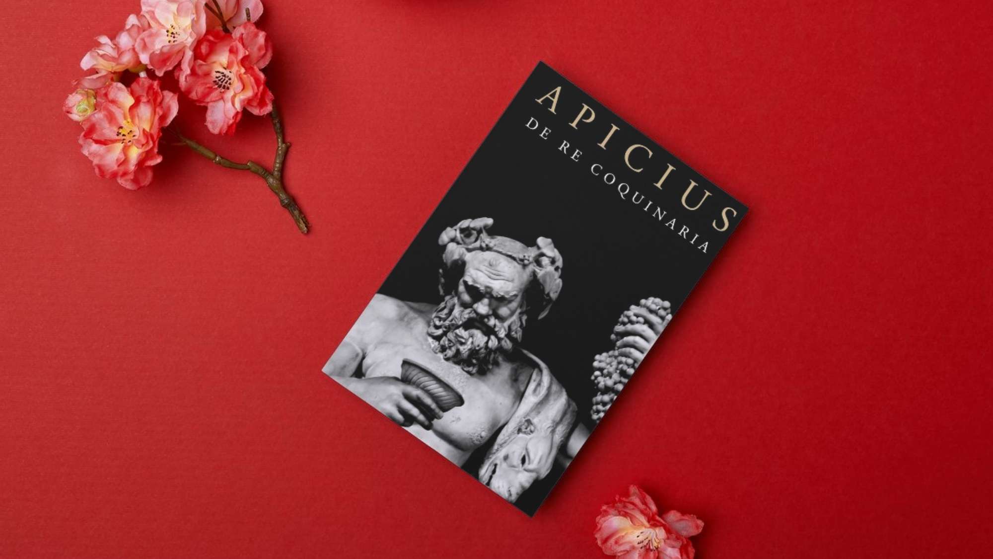 Apicius De Re Coquinaria Book