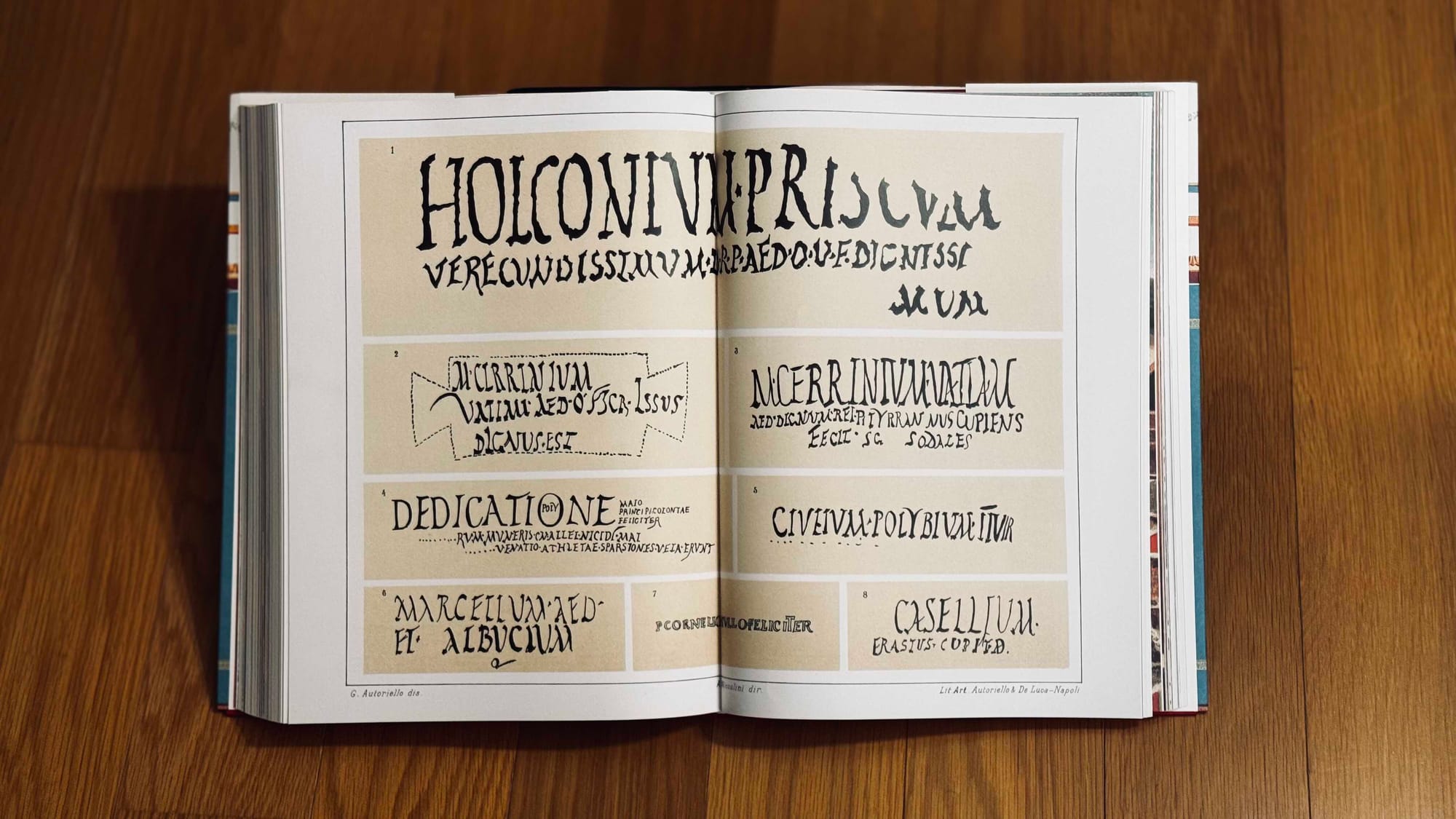 Dipinti - Programmata, the inscriptions use slogans such as "verecundissimus" (most modest) and "dignus est" (he is worthy)