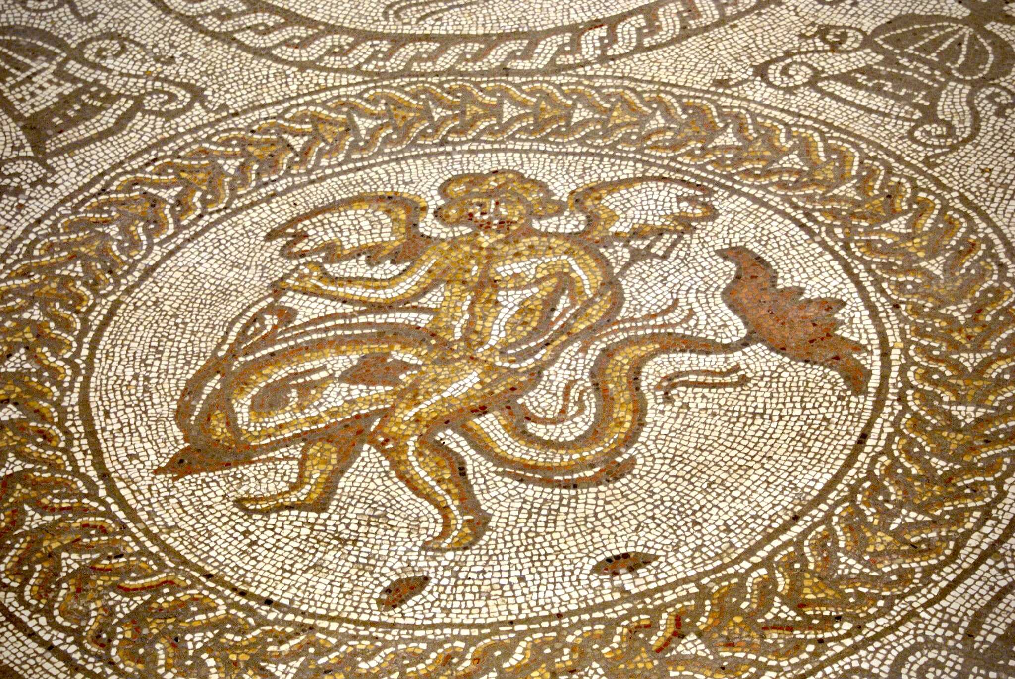 A Dolphin Mosaic at Fishbourne Roman Palace
