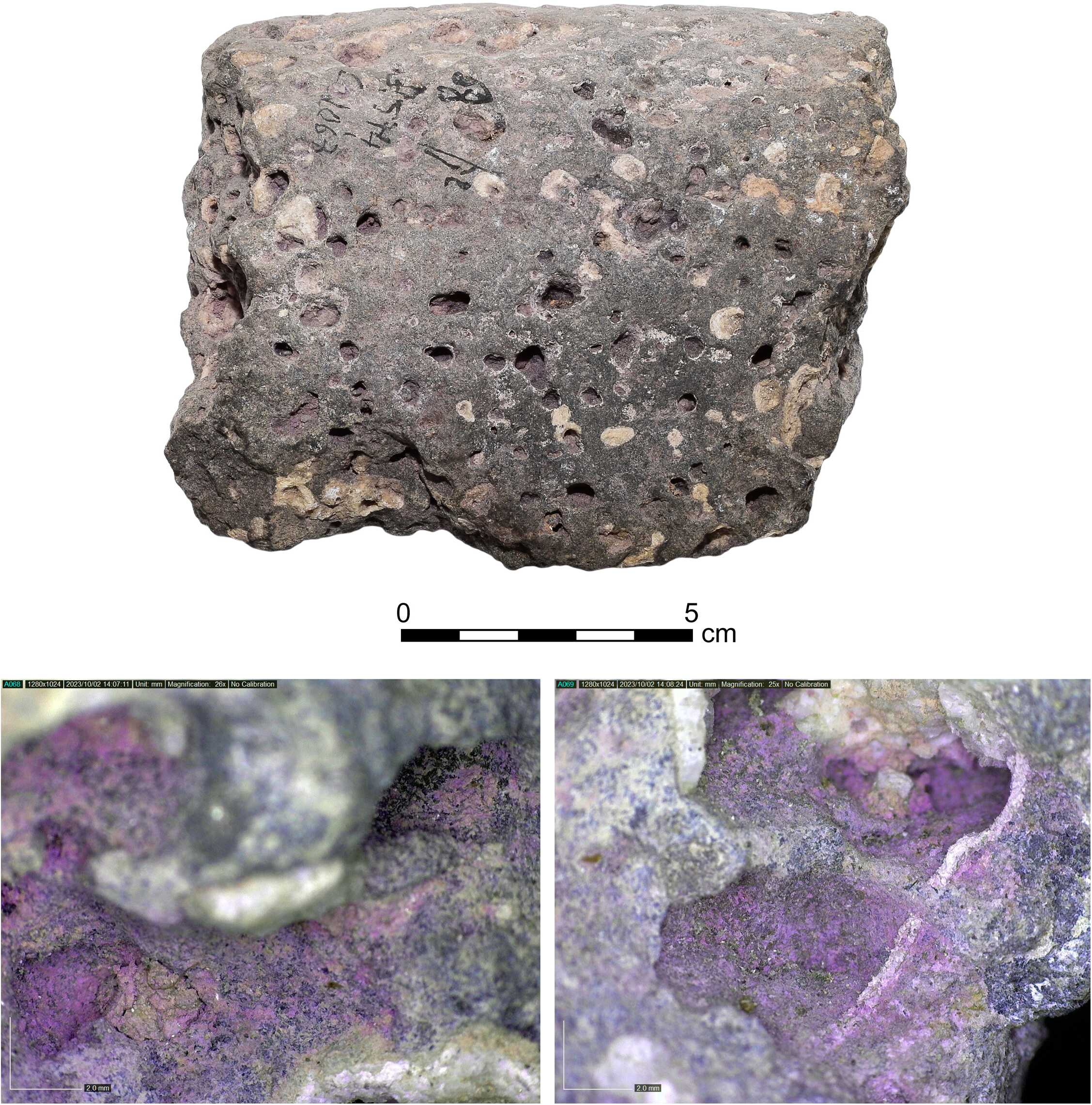 Above, basalt grinding stone tool with purple dye residue, below, the Dino-Lite digital microscope photos of the purple dye residue on it