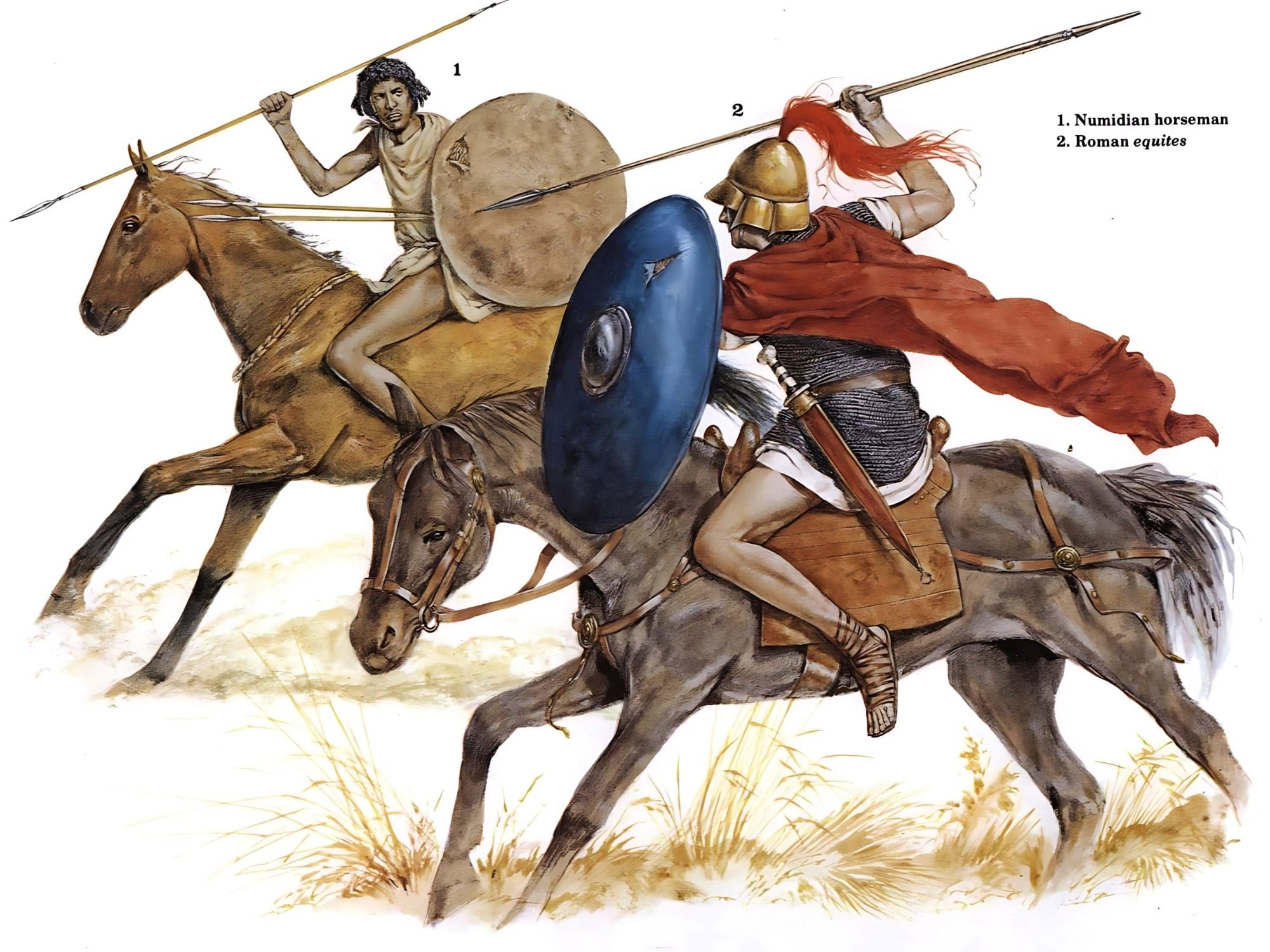An illustration depicting the differences between the Numidian light cavalry and the Roman equites