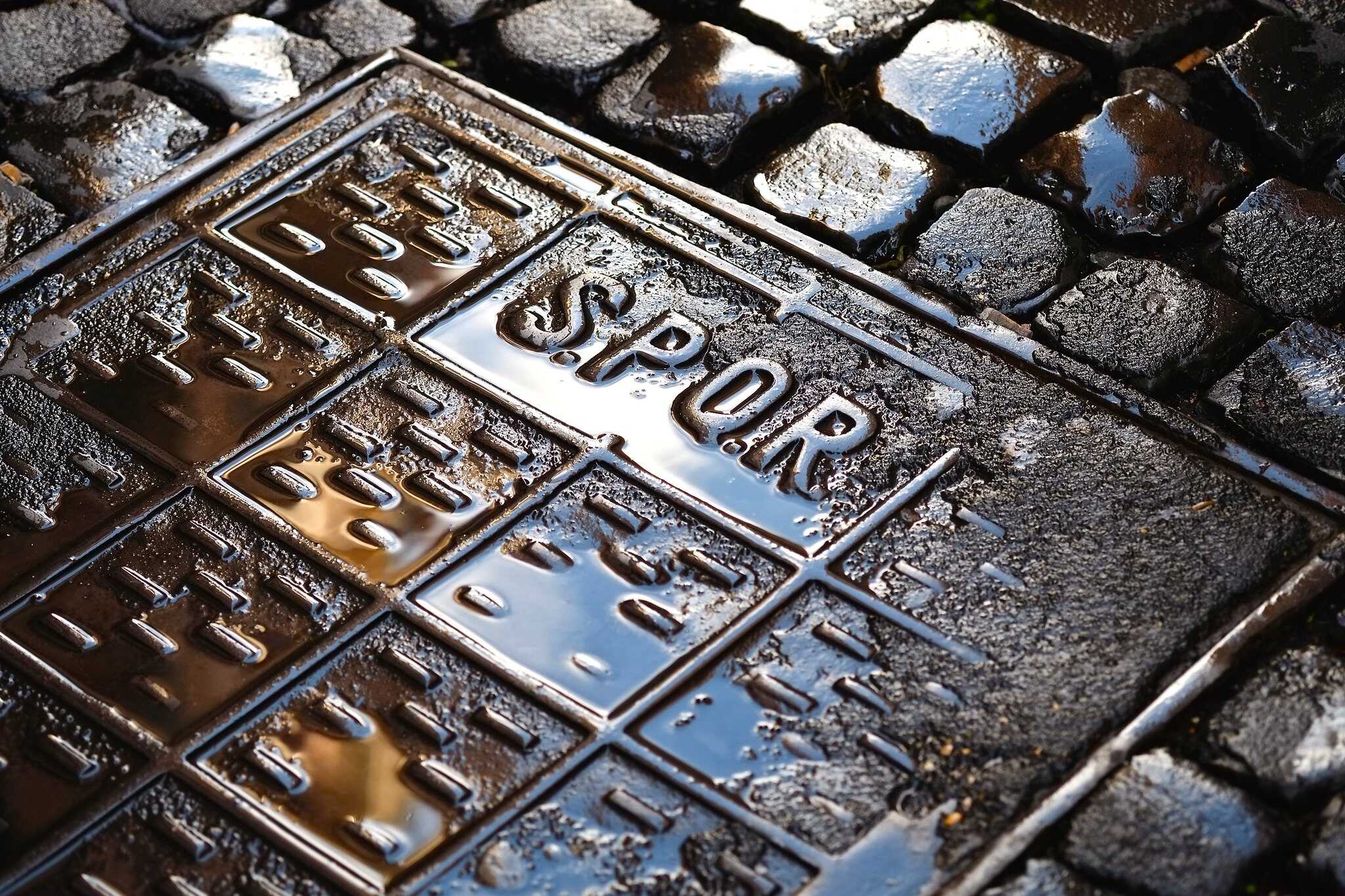 Senatus PopulusQue Romanus, or most well known as SPQR