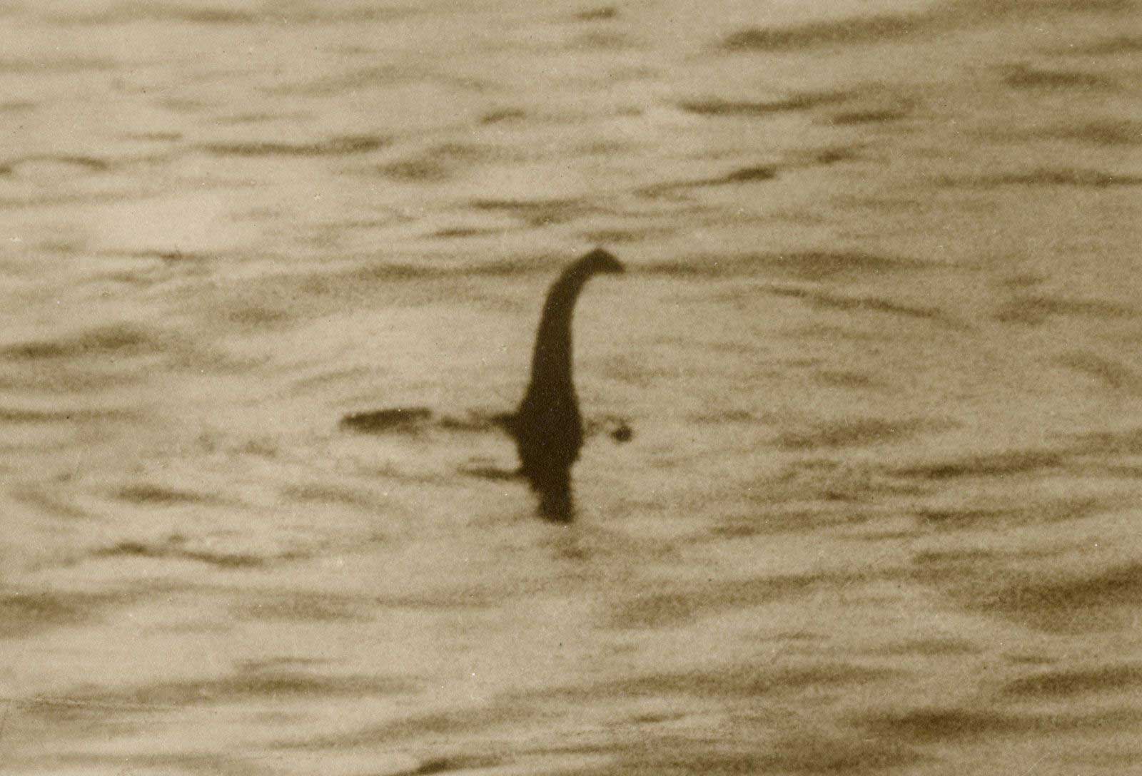 The famous Surgeon photograph of the Loch Ness monster Nessie in 1934, many believe today to be a hoax