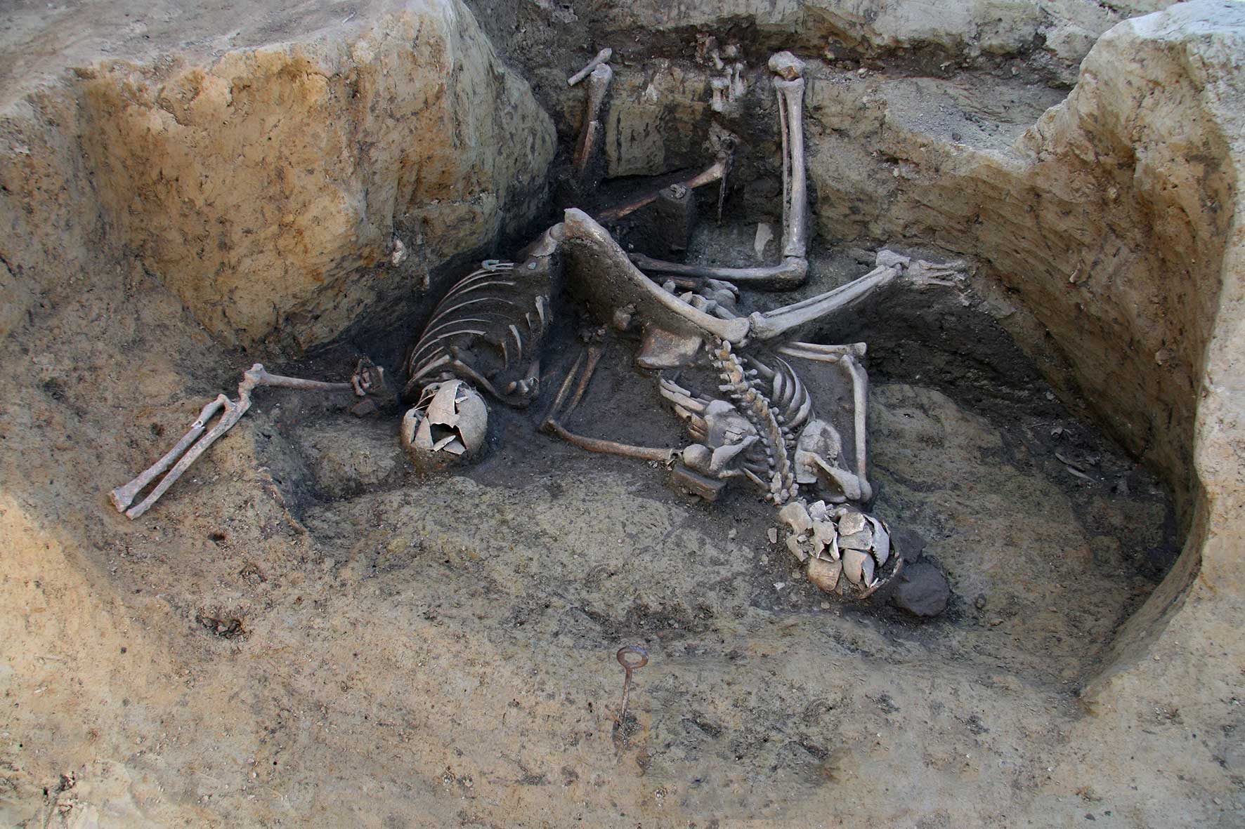 The well's skeletons during the excavation phase