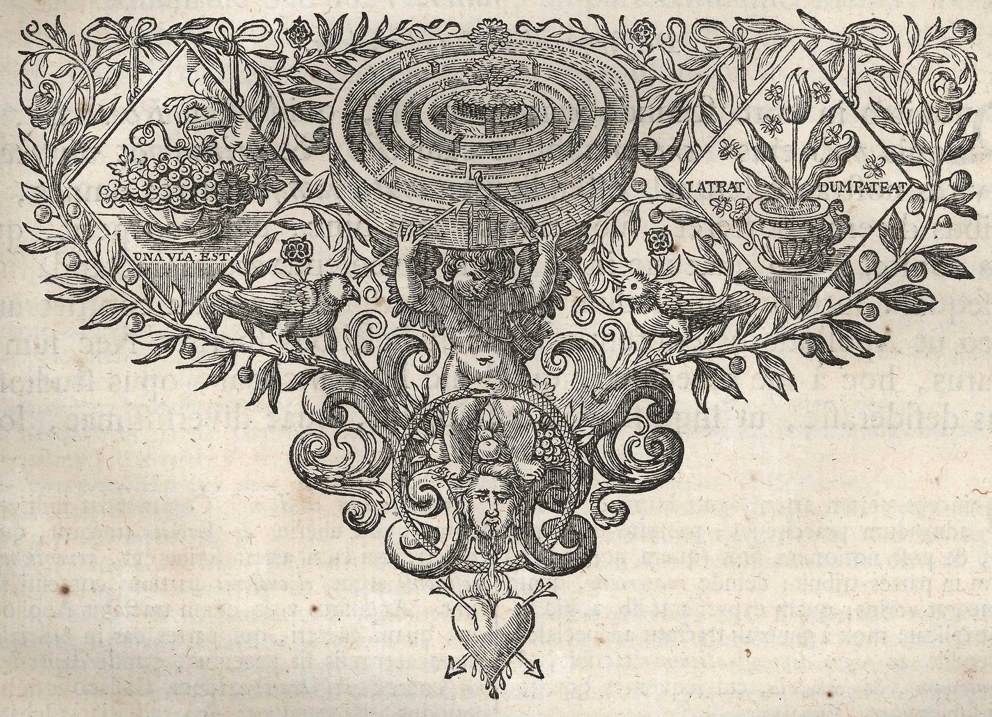 Woodcut used as final ornament on page 209 of Quintilian’s Institutio oratoria