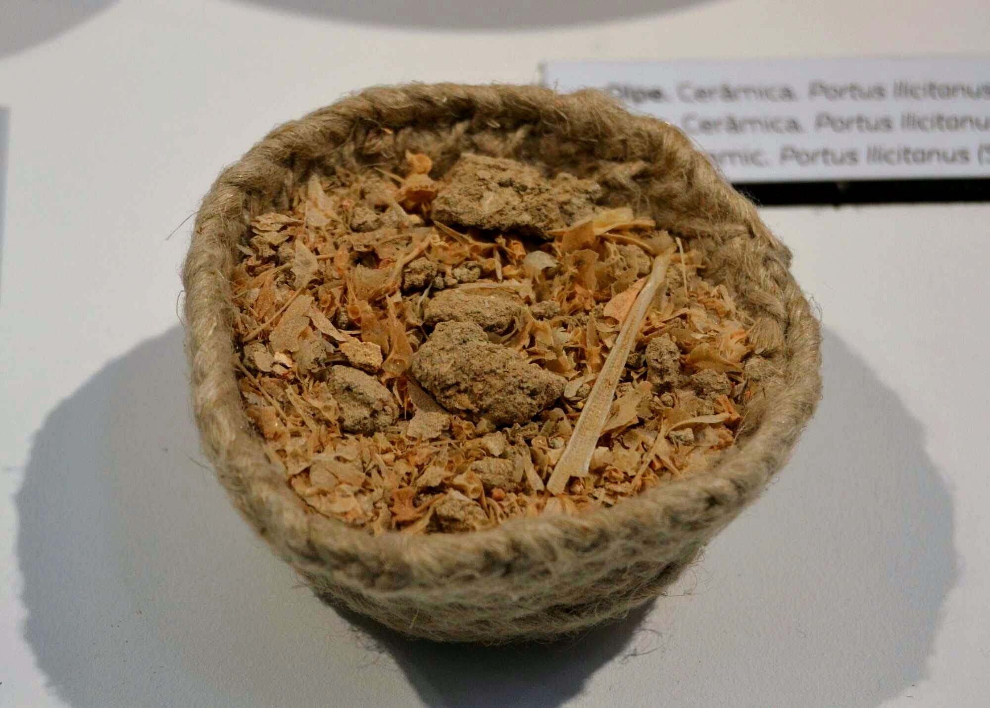 Remains of garum, cetaria of Santa Pola, Museum of the Sea of Santa Pola, fourth century.