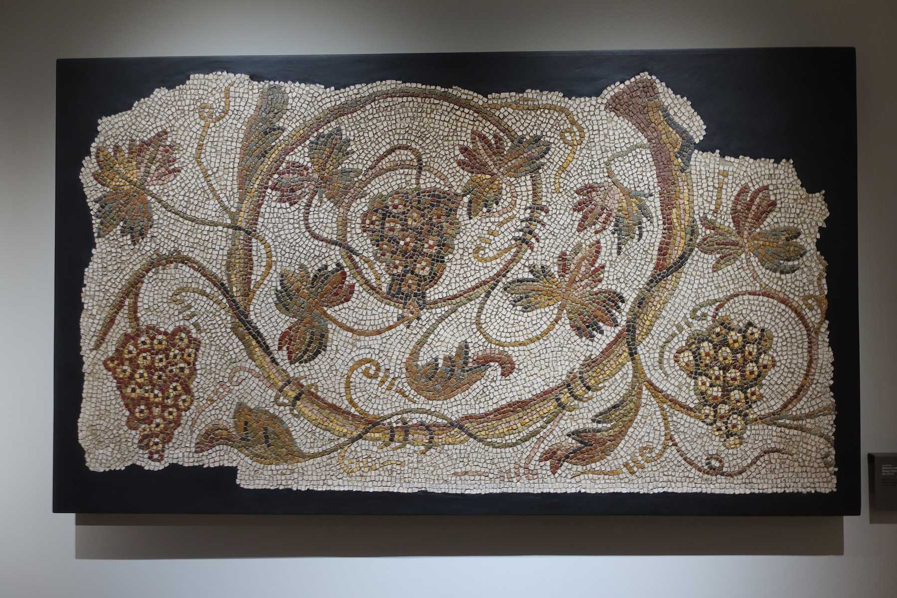 Roman Mosaic depicting Grapes, from the Bühler-Brockhaus Collection, in Braga (Portugal)