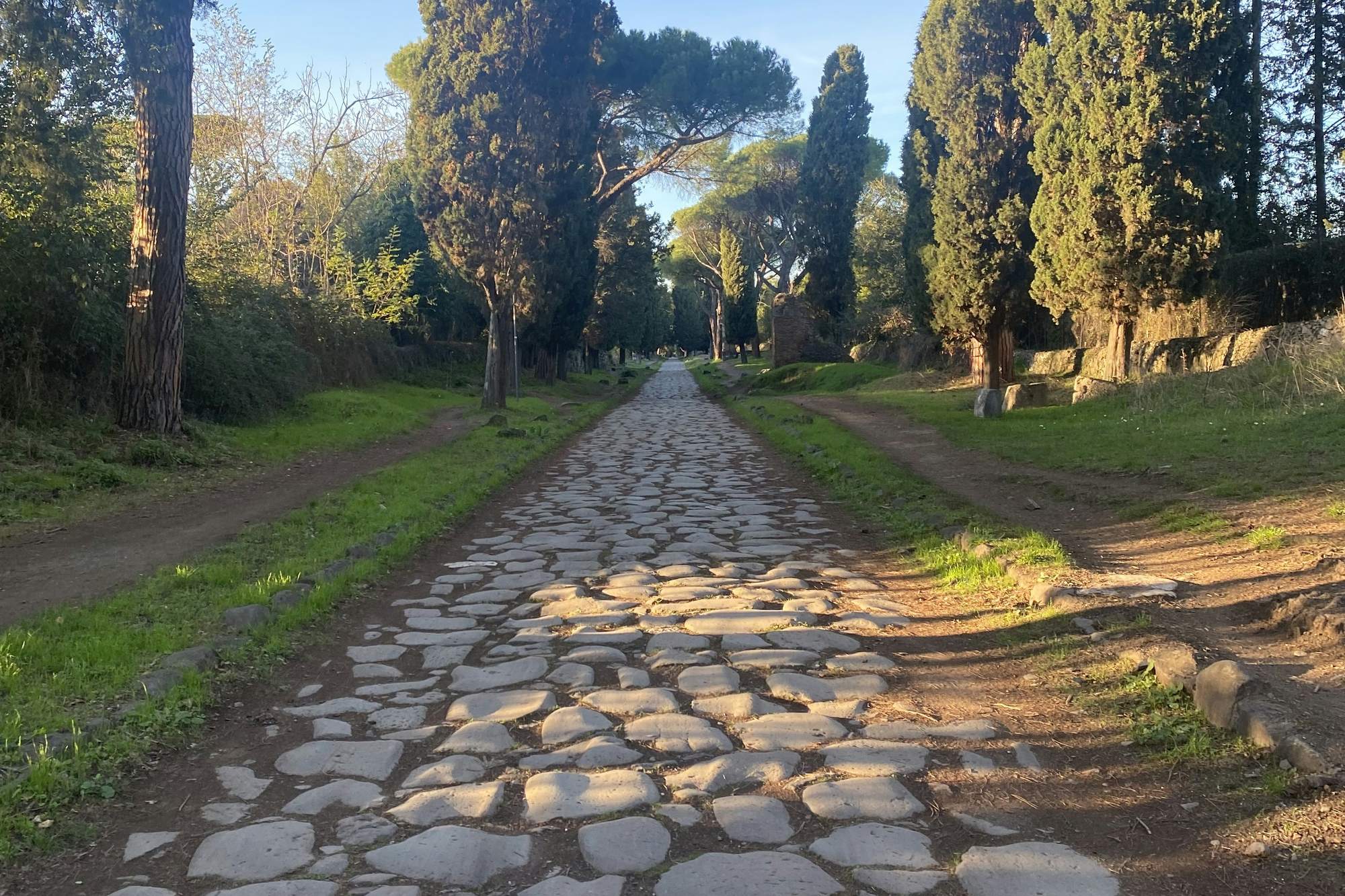 A paved stretch of the Appian Way in Rome running between cypress and pine trees.