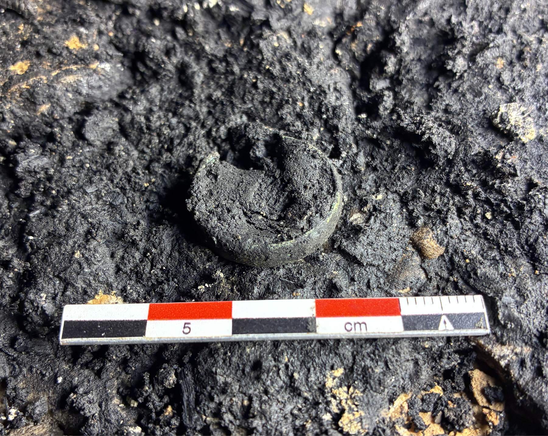 A bronze ring rests among cave deposits beside an archaeological scale at Cova Dones.
