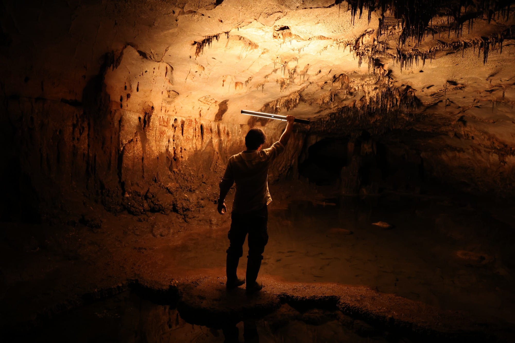 A researcher illuminates a broad cave wall and ceiling during documentation inside Cova Dones.