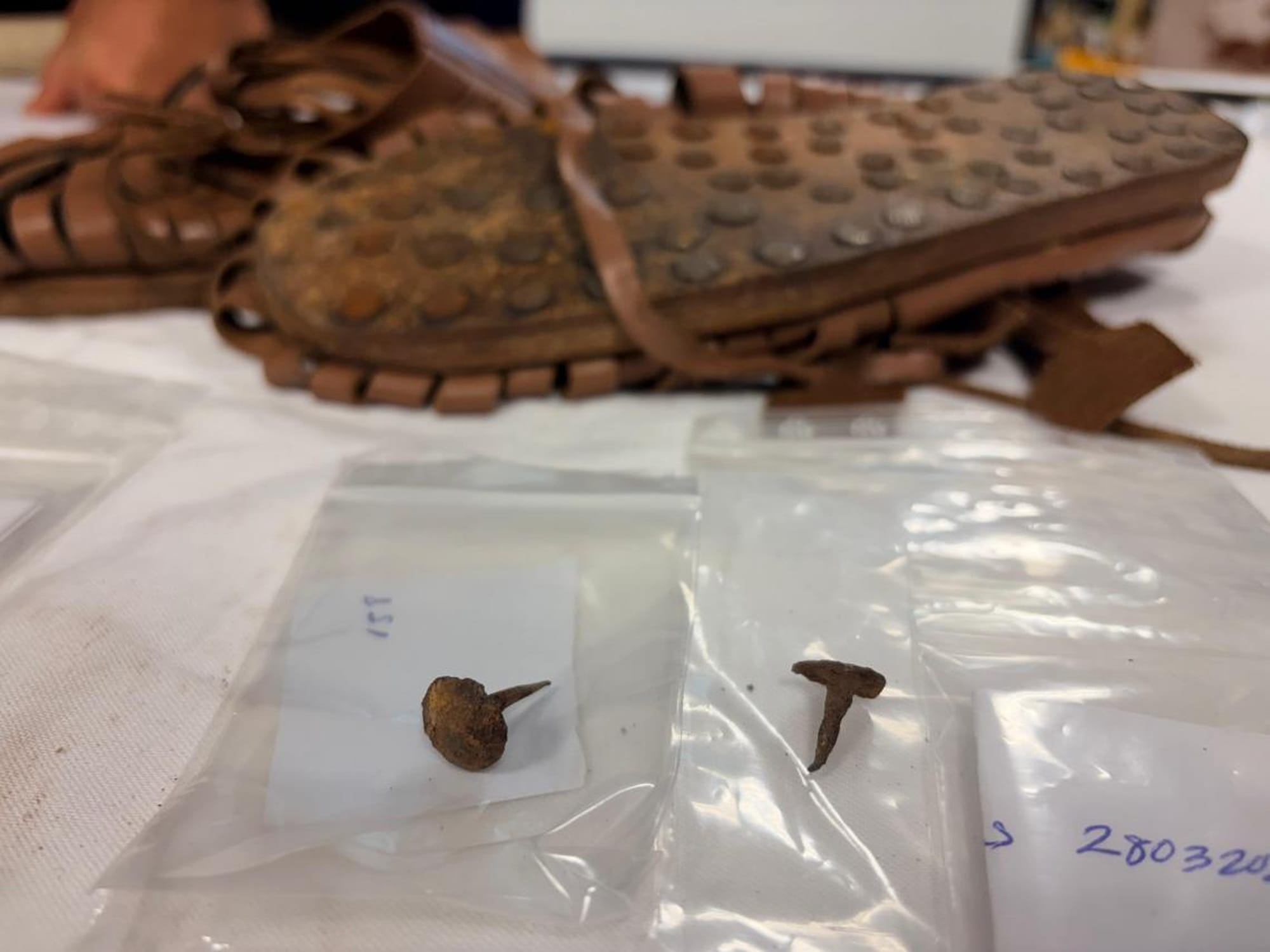 Two iron footwear hobnails in labelled bags with a modern replica Roman military shoe behind them.