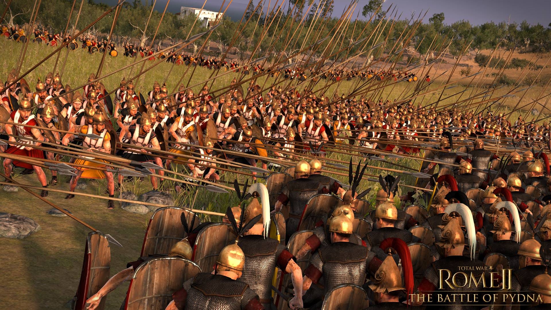 Roman infantry confront a dense line of raised pikes in the Battle of Pydna in Total War: Rome II.