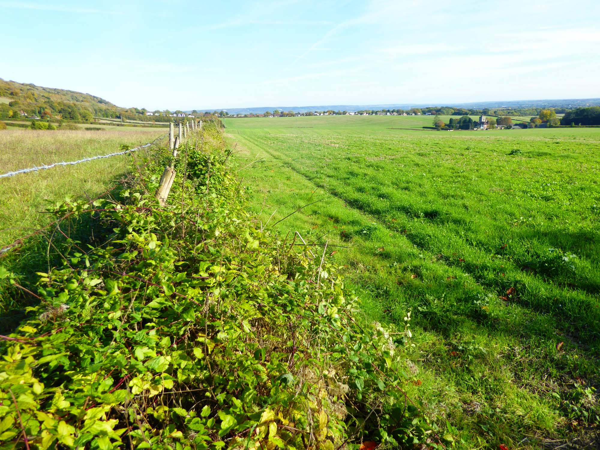 Fields below the North Downs near Trottiscliffe, with Trosley Court and the parish church to the right.
