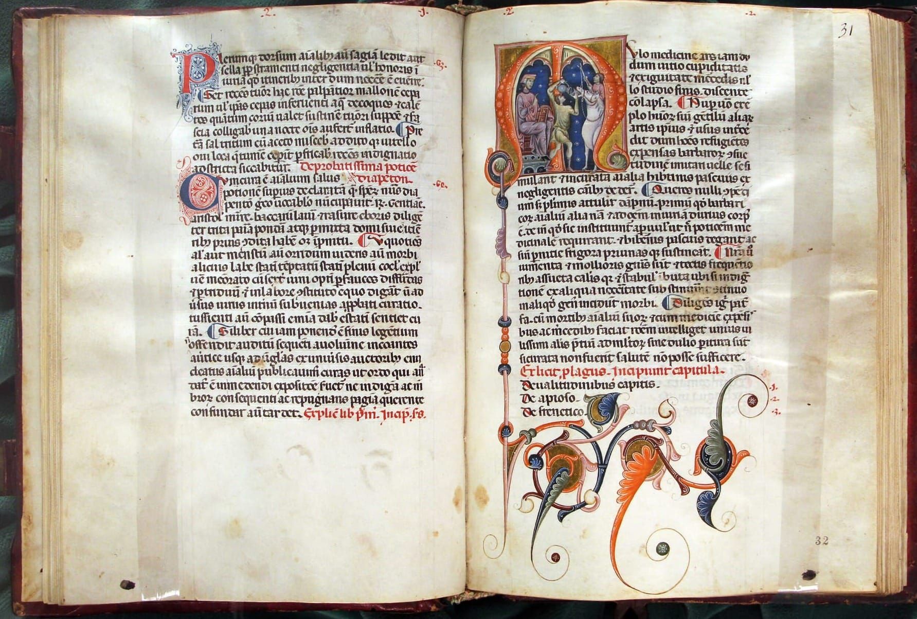 A Roman’s Manual for Survival