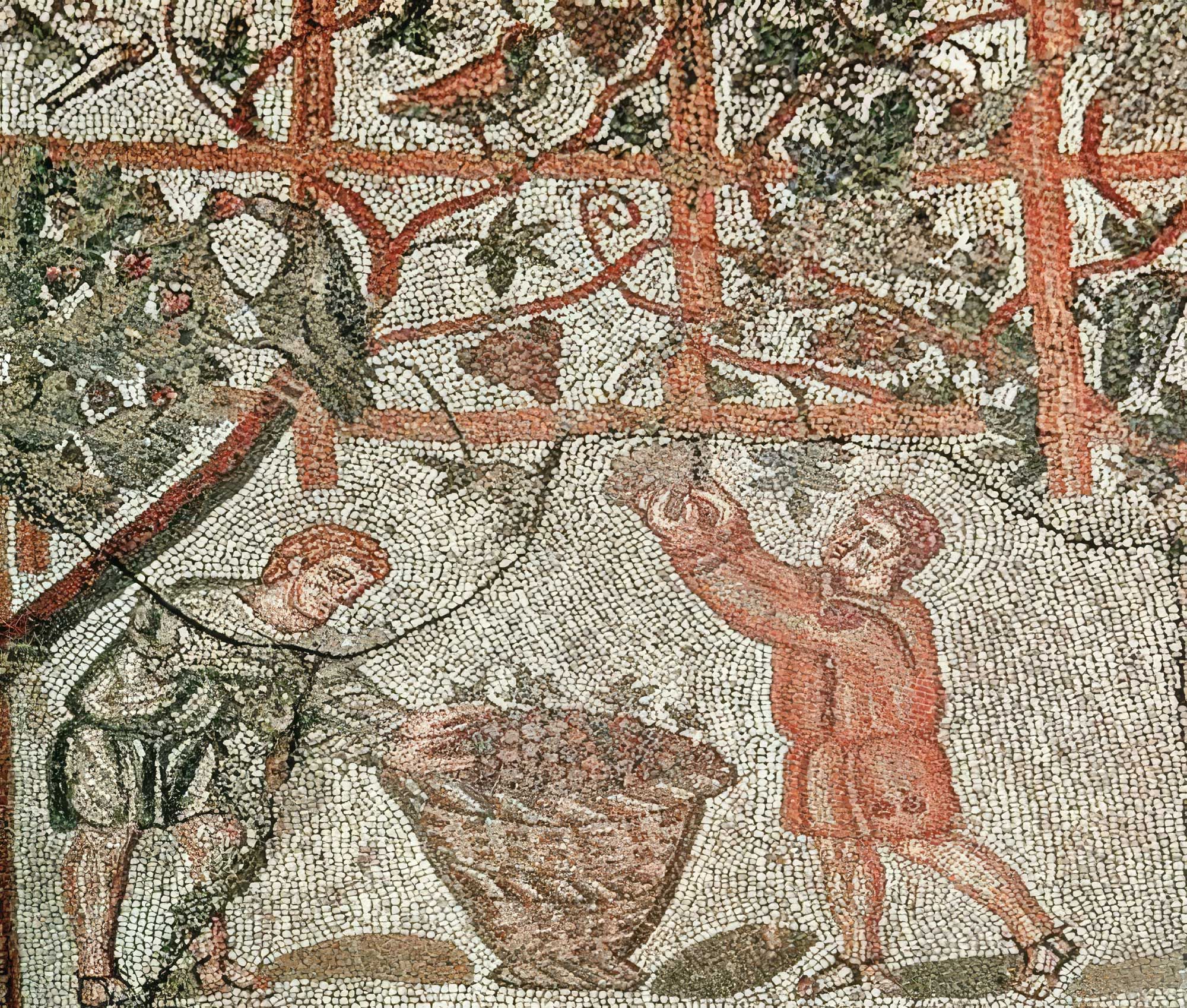 No Fridge? No Problem: How Romans Preserved Food