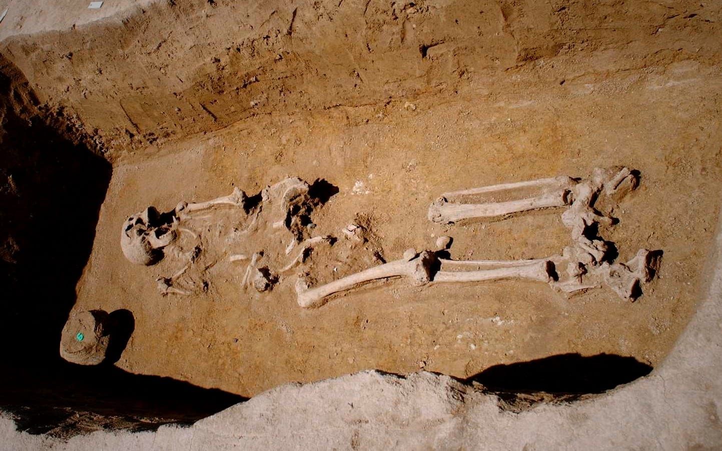 Ancient DNA Reveals Different Communities in Post-Roman Pannonia
