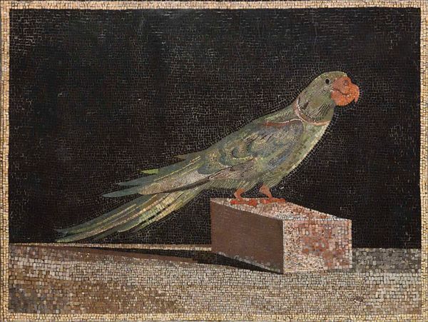 A reconstructed floor with a detailed mosaic of a parrot (or parakeet), in Pergamon