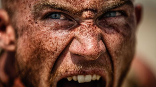 A possible representation of Spartacus charging into battle