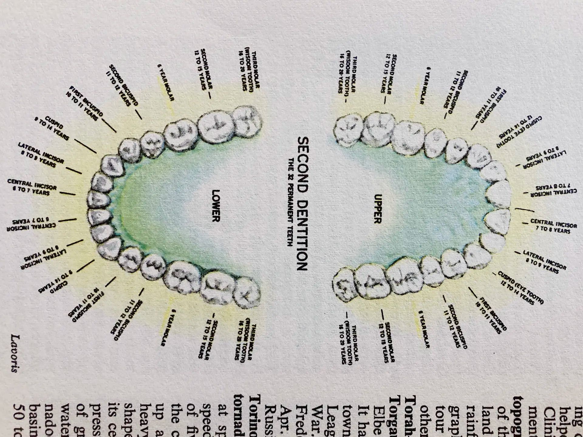 Unseen Structures Pt 2