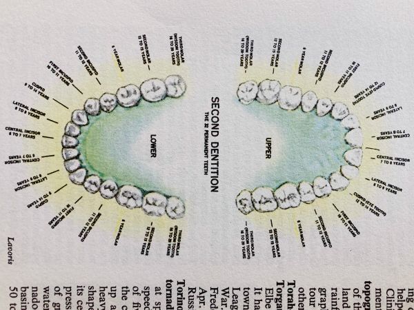 Unseen Structures Pt 2