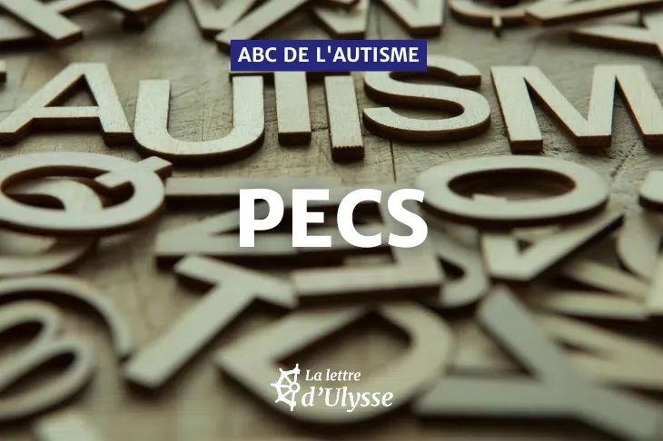 Photo : Lori Werhane via Canva 