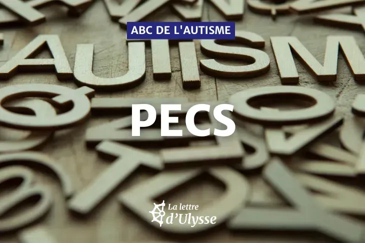 Photo : Lori Werhane via Canva 