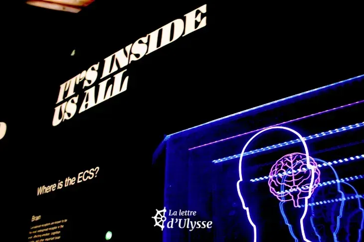 Quel est le rôle d'un neurologue dans le diagnostic et l'accompagnement des enfants TSA ?