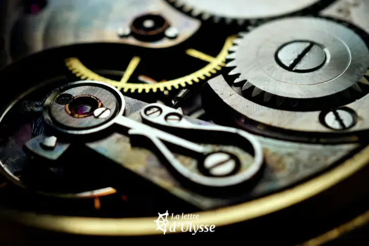 Les difficultés relatives aux fonctions exécutives sont fréquentes chez les personnes avec un TSA.