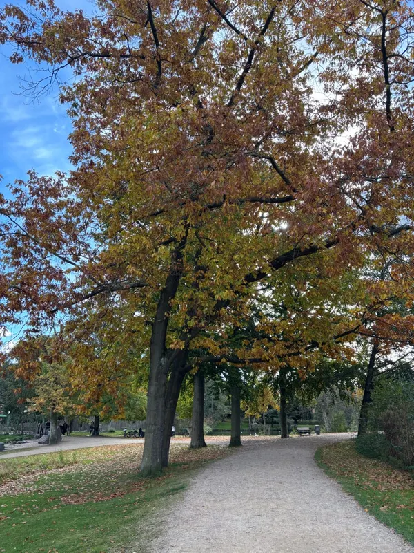 Gratis bind og tamponer i Odense kommune?