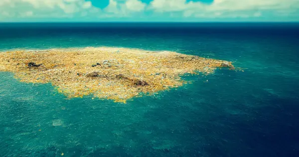 Din plastikø dræber din aftensmad