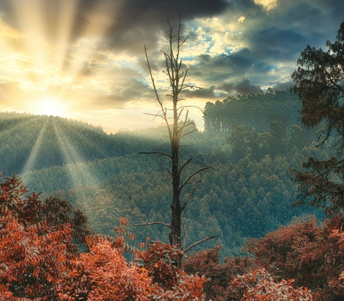 Mindset and your perspective