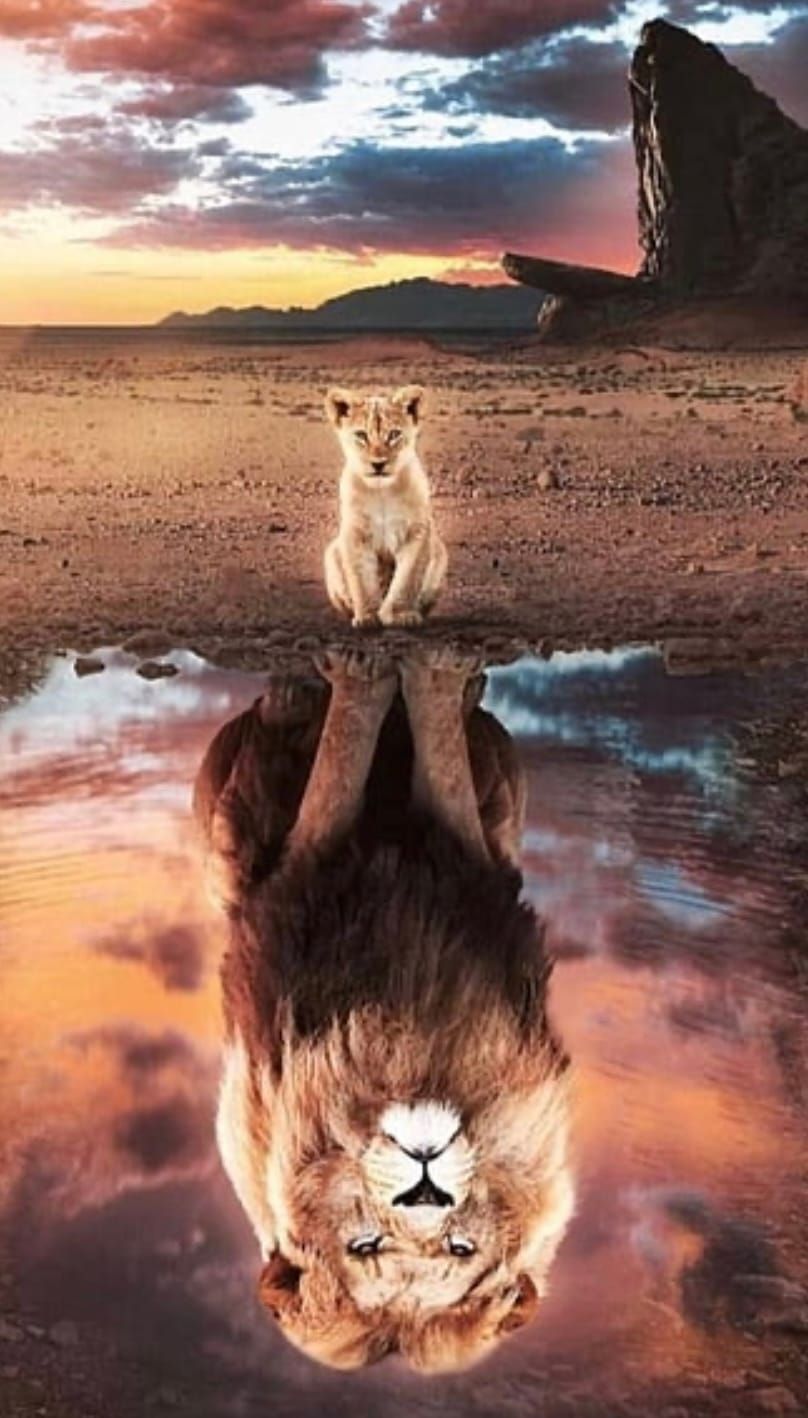 Mindset: The Inner Shift That Can Change Your Life Trajectory