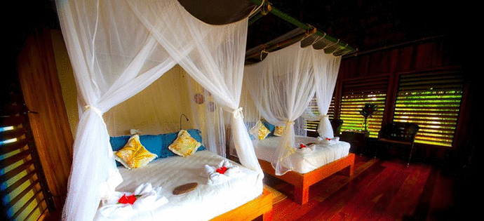 Bosque Del Cabo Rainforest Lodge