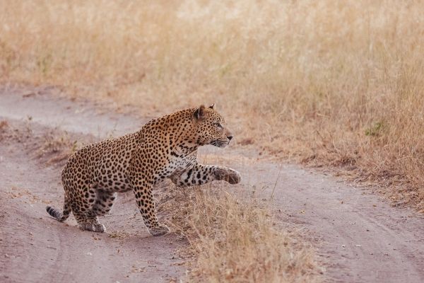 Le Courrier des Stratèges fait sa foire aux questions qui fâchent