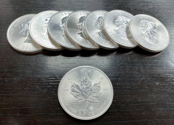 Guide de l'investisseur : maîtriser l'achat d'argent métal en France, par Vincent Clairmont