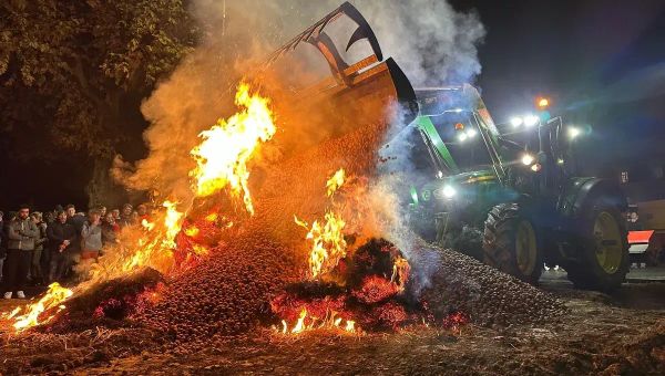 Dermatose nodulaire: la révolte des éleveurs contre un Etat boucher