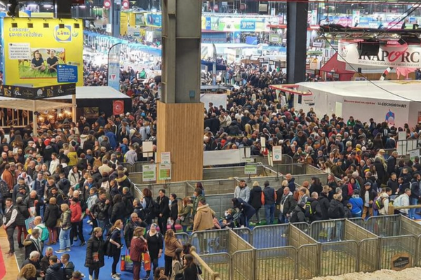Salon de l’Agriculture : quand la vitrine rurale vire au chaos