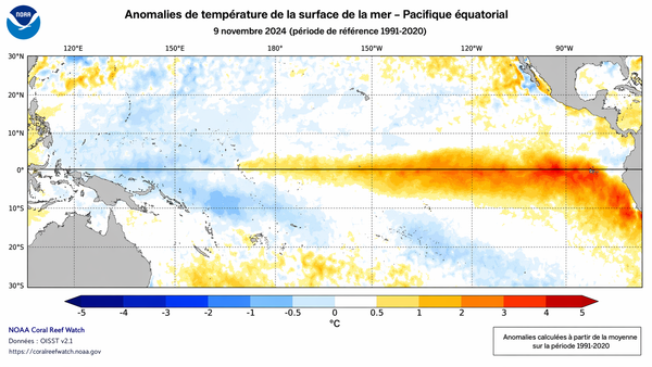 El Niño : causes et conséquences d'un retour attendu pour l'été 2026