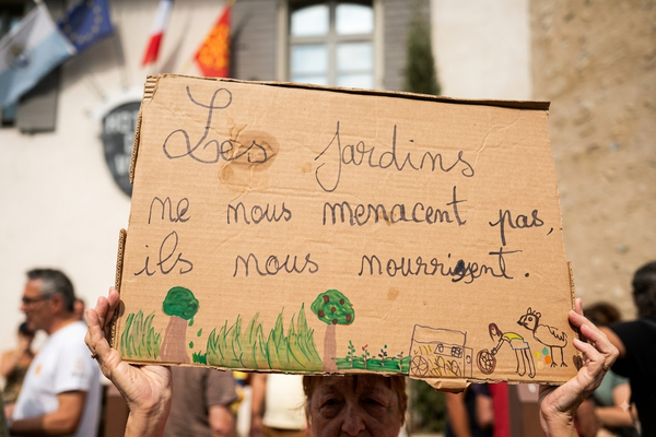 À Ille-sur-Têt, les jardins de 1949 rasés par la mairie - au nom de la sécurité