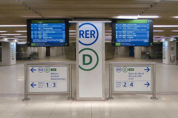RER D : 25 trains supprimés chaque jour, et un expert pour constater le désastre