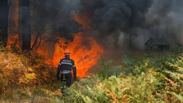 Bassin d'Arcachon : quatre ans après l'incendie, l'État interdit toujours aux propriétaires de reconstruire leurs cabanes brûlées