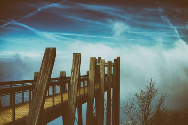 Weizmann: « Avec Zemmour, les bien-pensants deviennent complotistes »