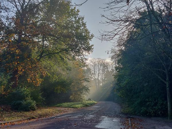 La réforme des retraites et le naufrage de l’énarchie verticale