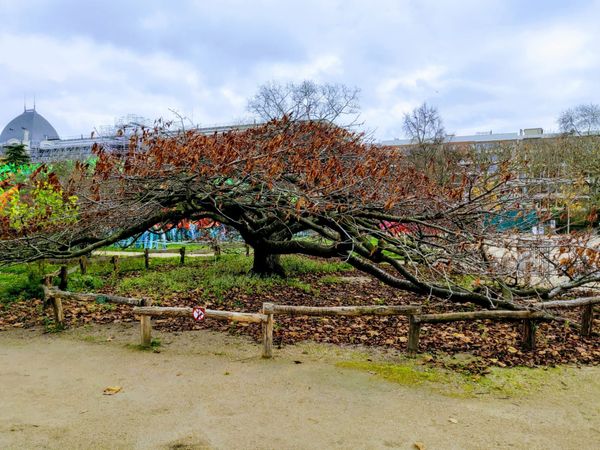 Réforme de l’ENA : qui sont les vrais Gaulois réfractaires ?