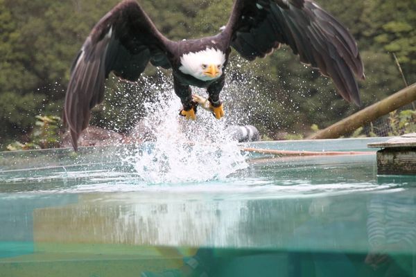 ????5 signaux économiques faibles qui doivent vous inquiéter…