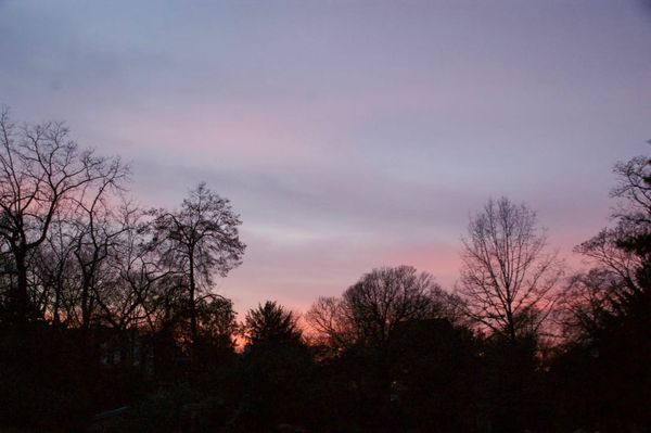 Du traité de Maastricht au coronavirus : le lent et long naufrage d’une certaine élite mondialisée