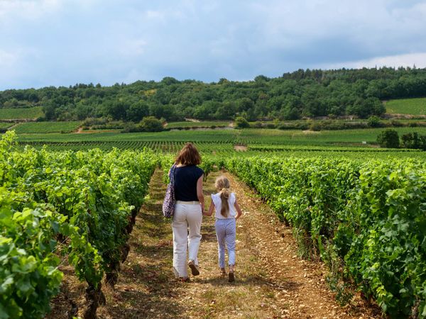 ????Mix patrimonial : comparez-vous à la moyenne française pour savoir si vous faites les bons choix