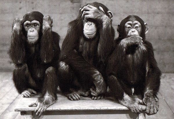 Un ministère des droits des animaux ou la défense de la cause du « grand méchant loup »